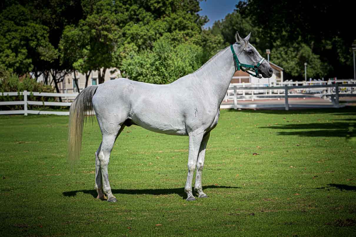 Kintamani Silver Sands